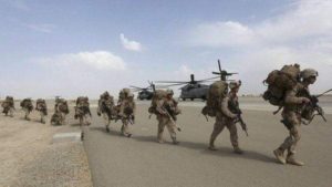 ابتداءا من اليوم.. حظر دخول الإماراتيين سقطرى الا بفيزا “وثيقة