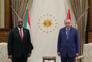 التحالف السعودي الإماراتي الغادر يسلب الشرعية اليمنية الفاشلة إرادتها