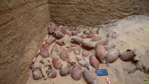 الجمهورية المصرية تكشف عن خبيئة لمواد التحنيط في أبو صير (صور جديده)