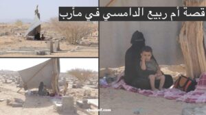 قصة ام ربيع علي الدامسي في مارب التي تمكث جوار قبر للعفو عن ولدها قبل اعدامه