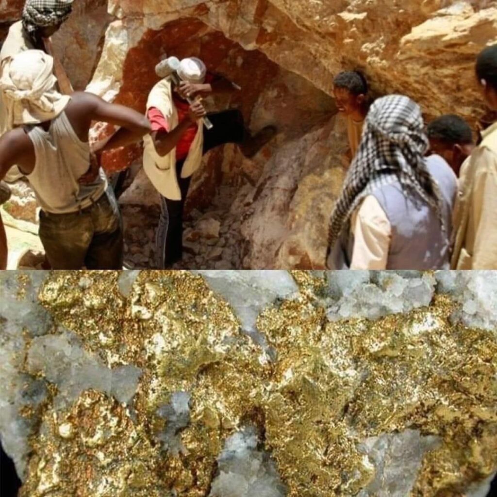 شركة أجهام التابعة للانتقالي منحت عقد يمتد 50عام من حكومة معين لاستخراج الثروات المعدنية في قشن بمحافظة المهرة..