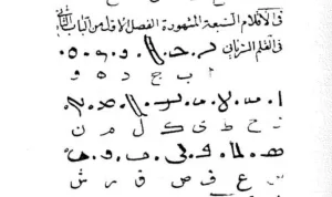 اكتشف في السعودية.. نقش أثري في مقام إبراهيم بقلم مملكة يمنية يثير شكوك حول دراسات سابقة