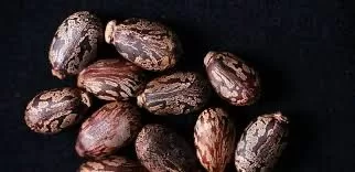 بروتين سام