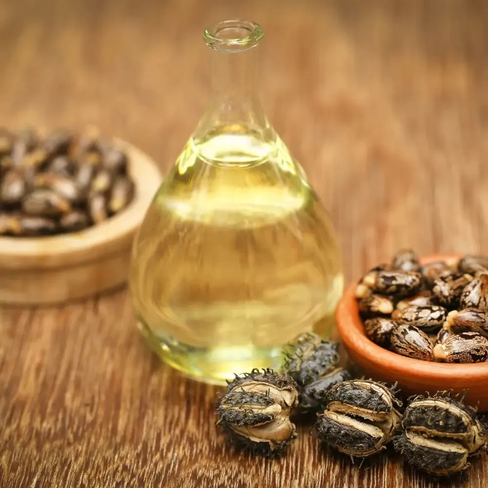 لماذا زيت الخروع الطبي الذي نشربه كشربة ملينة ليس ساما ؟