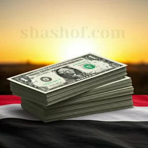 تذبذب سعر الصرف في اليمن: ارتفاع في عدن وانخفاض في صنعاء