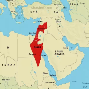 موجز إخباري – مفاوضات غزة تتصدر المشهد الإقليمي
