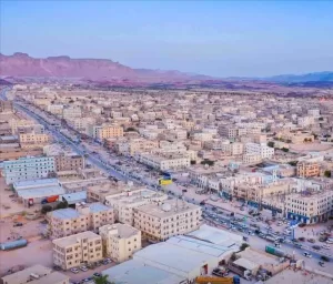 أخبار المحافظات – الكلاب الضالة تهاجم حظيرة في رضوم شبوة وتفترس 52 رأس غنم في ليلة واحدة