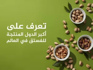 أهم 10 دول في إنتاج وتصدير الفستق على مستوى العالم، ومن ضمنها دولة عربية
