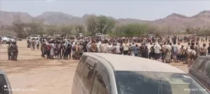اخبار المناطق – تحكيم قبلي في ردفان يحل قضية اعتداء