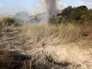 القوات المسلحة الإسرائيلي يعلن عن إسقاط طائرة مسيّرة قادمة من الجهة الشرقية.