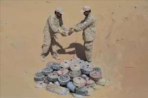 اليمن اليوم اخبار المحافظات – اتلاف 600 لغم وعبوة ناسفة في شبوة