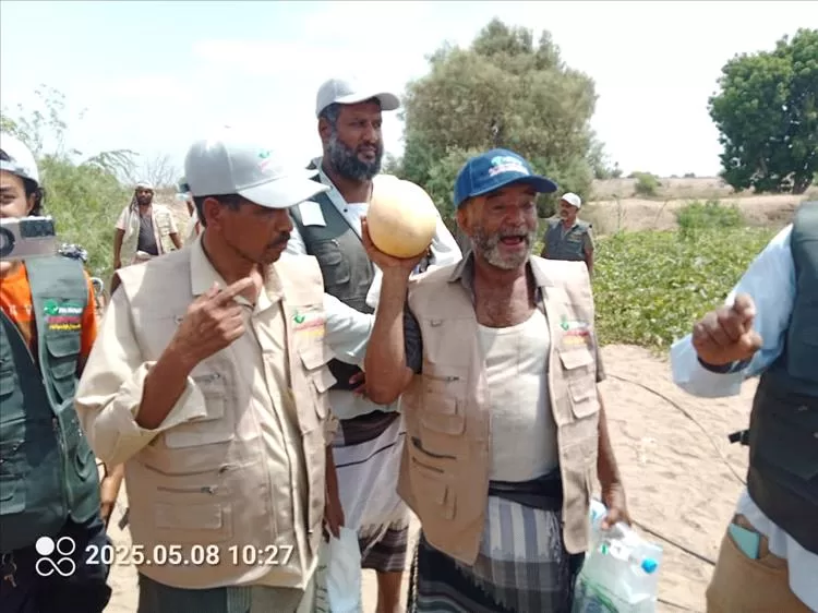 يوم حقلي لمحصول الشمام بمزرعة طارش العولقي في فالج عياض محافظة لحج