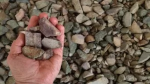 تبدأ Chilwa Minerals مفاوضات مع Malawi لمشروع المعادن الحرجة