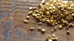 تعلن Pacgold عن تقدير موارد جديد في مشروع Alice River Gold في أستراليا