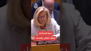 شاهد دعوة أممية لوقف الحرب الإسرائيلية على غزة والتوصل لحل الدولتين