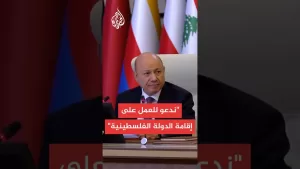 شاهد رئيس مجلس القيادة الرئاسي في اليمن: نؤكد تمسكنا بخيار السلام لإنهاء الاحتلال الإسرائيلي