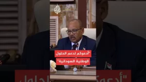 شاهد نائب رئيس مجلس السيادة السوداني: قوات الدعم السريع تستهدف كل مكتسبات الشعب السوداني