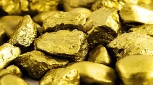 يتقدم Perpetua بطلب تمويل EXIM بقيمة 2 مليار دولار لمشروع الذهب في ستبنايت