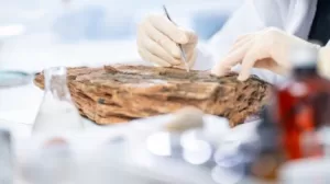 يوقع كرايسوس أول عقد وحدة فوتوناساي مع نيومونت