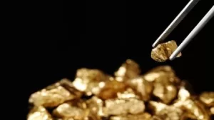 FireTail تؤمن خيارات لشراء مشروعين ذهبياً في فينا