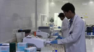 اخبار المناطق – شبوة: بداية جديدة في مجال الرعاية الطبية وجهود نحو الشفاء الكامل