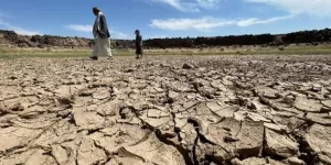 تداخل الأزمات في اليمن: جفاف الأراضي يزيد من تفاقم الوضع الاقتصادي الصعب – شاشوف