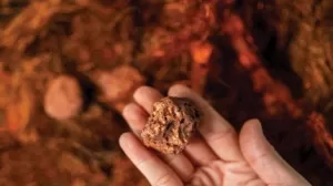 سايغنوس ميتالز تجمع 11.8 مليون دولار لمشروع النحاس والذهب الكندي