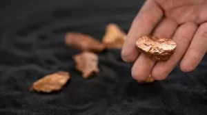 سهم السهم الذهبي يوقع اتفاق خيار لمشروع النحاس والذهب الأرجنتيني