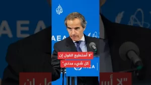 شاهد المدير العام للوكالة الدولية للطاقة الذرية: لا يمكن الجزم بشأن طبيعة برنامج إيران لنقص المعلومات