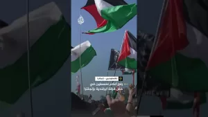 شاهد رفع أعلام فلسطين في حفل فرقة أيرلندية بإنجلترا
