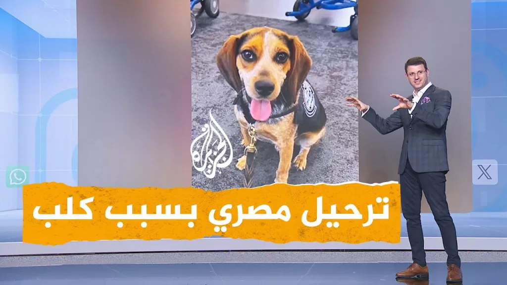 شبكات | ترحيل مصري بسبب كلب أمريكي