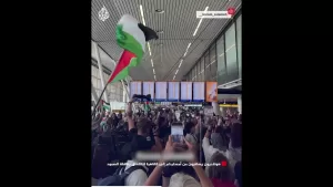 شاهد هولنديون يسافرون من أمستردام إلى القاهرة للالتحاق بقافلة الصمود