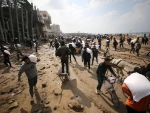 ضحايا الطعام القاتل: استمرار قتل الجائعين في غزة بلا أي تدخل دولي – شاشوف