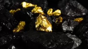 مياتا ميتالز تحصل على مشروع ناسو الذهبي بالكامل في سورينام