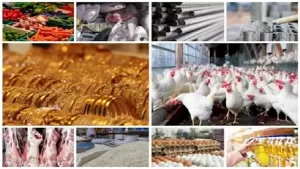 خريطة الأسعار اليوم: تراجع في أسعار الدواجن والحديد وزيادة في أسعار البيض والذهب