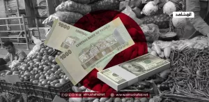 أحدث تغييرات في أسعار صرف العملات مقابل الريال اليمني – المشاهد نيوز