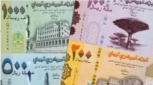 استكشف أسعار الصرف وتداول العملات في عدن مساء السبت – الأمناء نيوز | أمانة الكلمة .. احترام الحقيقة