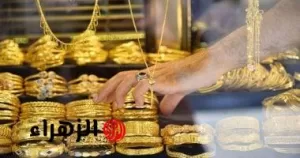 «بداية موفقة».. أسعار الذهب تستمر في الانخفاض وعيار 21 يصل إلى 4660 جنيهاً – بوابة الزهراء