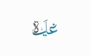 تصريحات سامي الجابر بشأن استقالة فهد بن نافل من رئاسة الهلال في 2025… ماذا جاء فيها؟ – غاية السعودية