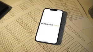 تودور جولد تناشد حقوق استخدام الأراضي في مشروع KSM Gold Seabridge Gold