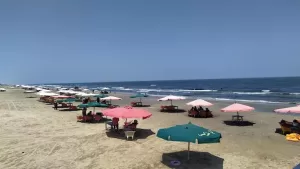توقعات الطقس غدًا: اضطراب في الملاحة وارتفاع الأمواج، والقاهرة تسجل 35 درجة مئوية