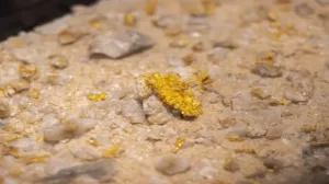 تيرانا ريسورسز للحصول على حصة في مشروع ماونغو للنحاس والذهب