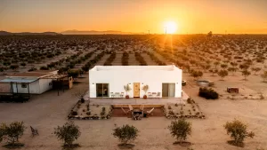 أفضل الإقامات الزراعية على Airbnb: من مزارع الماشية إلى بساتين الزيتون