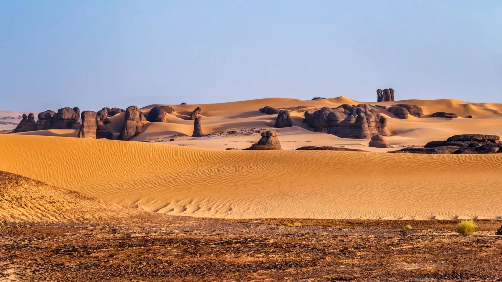 تحتوي الصورة على صحراء طبيعة خارجية مناظر طبيعية وشخص