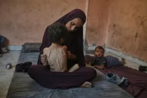 إصدار أممي جديد: ما هي الخطوات التالية بعد الإعلان الرسمي عن المجاعة في غزة؟ – شاشوف