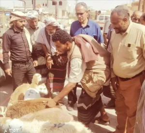 اخبار المناطق – المدير السنة لمعتق يتفقد سوق الماشية لمراقبة تراجع الأسعار