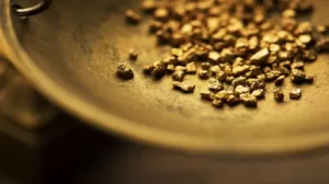 المعادن في Vertex تبدأ إنتاج خام عالي الجودة في منجم المكافآت الذهبية
