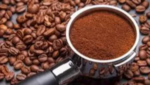 بعد الزيادة العالمية.. كيف سيؤثر ارتفاع أسعار البن على السوق المصري؟ توضيحات من رئيس الشعبة.