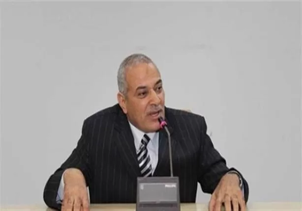 شعبة الدواجن: انخفاض الأسعار في السوق يصطدم بالحلقات الوسيطة