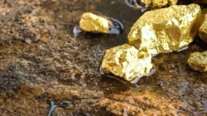 Aurum Resources تحصل على 35٪ من حصة في شركة التعدين الإيفوارية MSP